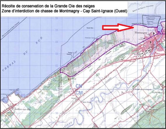 ZIC_Montmagny_mod