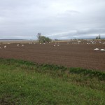 Rivière à la caille 2015